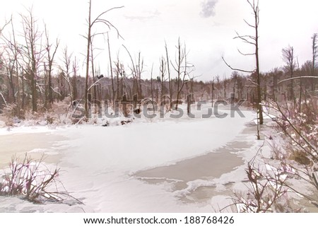 Winter Marshland - Ice and snow paint a pretty coating on marshland near West Milton, New York