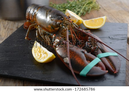 Clawed lobster on a table before cooking