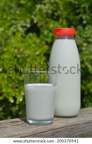 Milk bottle and a cup outdoors
