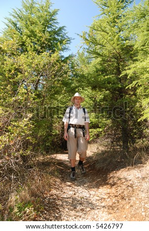 Man  walking a footpath through a wood