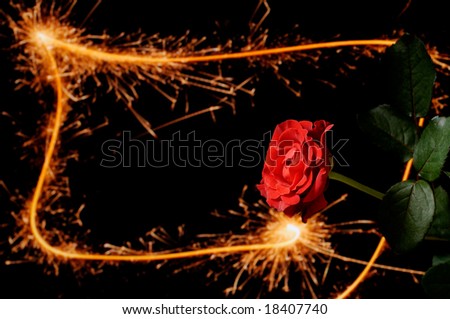 sparkling red rose