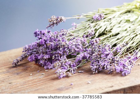 Bunch of lavender on wooden table