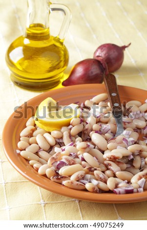 White bean salad in a plate, olive oil, and onion