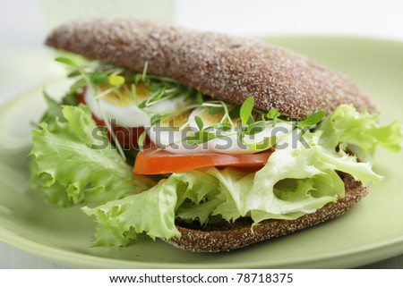 Healthy sandwich with lettuce, garden cress, boiled egg, tomato, and red onion on the rye bread. Shallow DOF