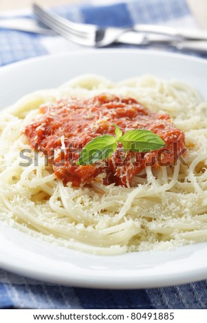 Spaghetti with salsa and shredded parmesan cheese closeup