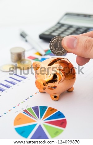 Polish coin and pig saving concept