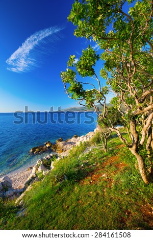 Amazing rocky beach with crystalic clean sea water with pine trees on the coast of Adriatic Sea, Istria, Croatia