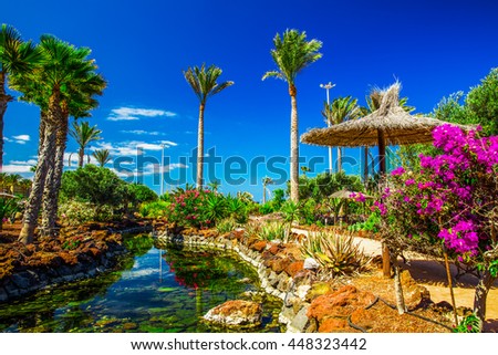 Beautiful view to tropical island resort garden with palm trees, flowers and river on Fuerteventura, Canary Island.