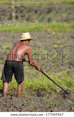 Man Farming