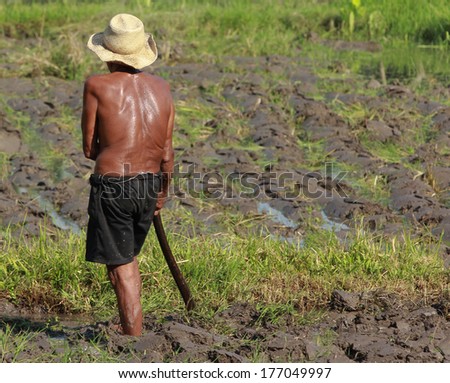 Man Farming