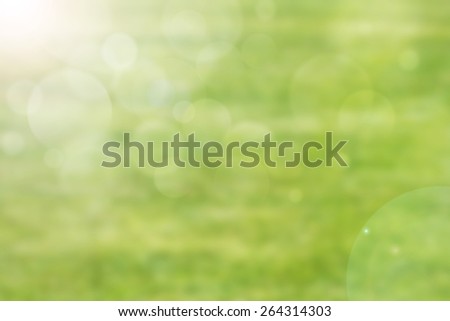 Green Color with no light rays and blurred background