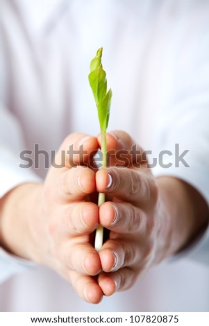 Human holding a sapling starting to blossom out