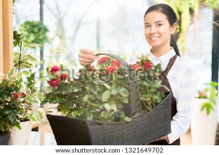 Young cheerful florist holding basket with fresh red growing roses while standing in front of camera
