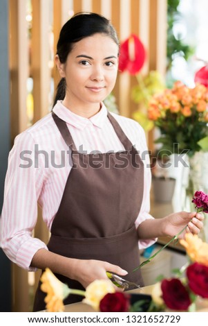 Young brunette in brown apron and white shirt sorting fresh carnations and preparing them for making bouquets