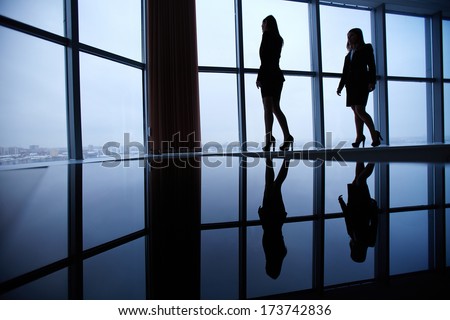Silhouettes of two businesswomen standing against window in office