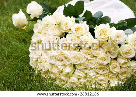 white rose bouquet. of big white rose bouquet