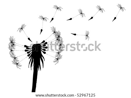 stock vector Vector illustration of blowing dandelion on a white 