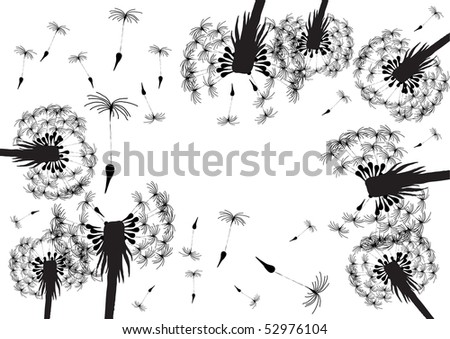 stock vector Vector illustration of blowing dandelion silhouettes on a 