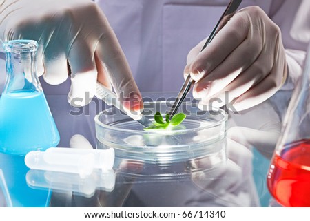 Hands of clinician holding steel tools during scientific experiment in laboratory