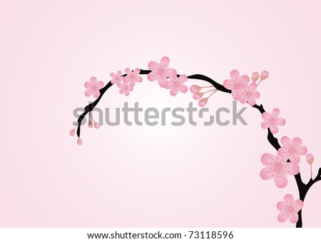 cherry tree branch. cherry tree branch silhouette.