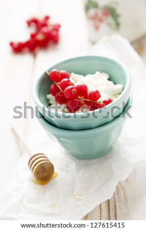 Fresh cottage cheese with red currant and honey