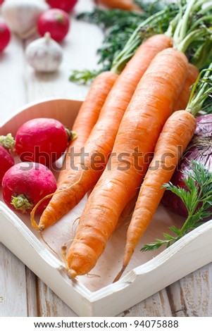 Raw carrot and radish