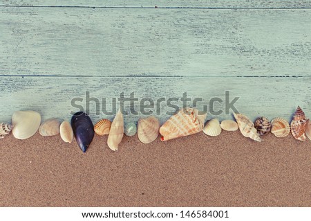 Concept: Holiday memories of beach, sun and sand with seashells