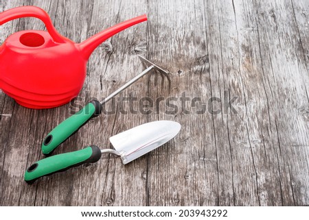 Colorful gardening tools on a wooden table
