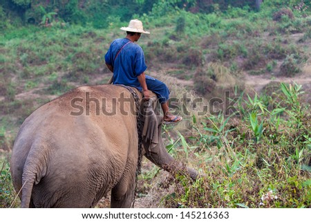 Unidentified Man sitting on Elephant - Elephant tracking in Asia