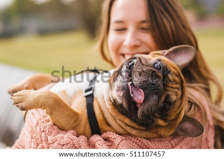 Little dog with owner spend a day at the park playing and having fun