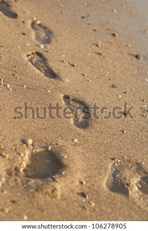 Foot prints at sand in summer sunrise on tropical beach. footsteps. human traces of feet near sea. Travel vacation and freedom happy lifestyle concept image