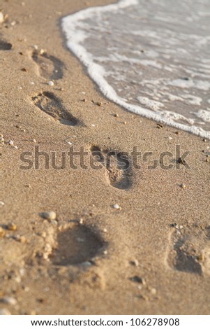 Foot prints at sand in summer sunrise on tropical beach. footsteps. human traces of feet near sea. Travel vacation and freedom happy lifestyle concept image