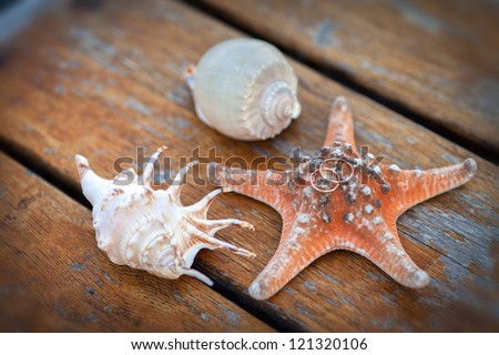 golden wedding rings with sea shell On wooden deck at Caribbean Beach. Man And Woman Wedding Rings On A Starfish