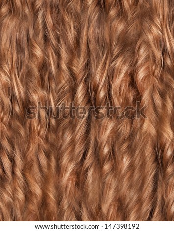 Curly blond hair background. perfect long blonde hair closeup. healthy curly hair. res-hair woman. beauty and spa. girl with beautiful curls hair. long blond hair. golden hair. natural blonde hair.