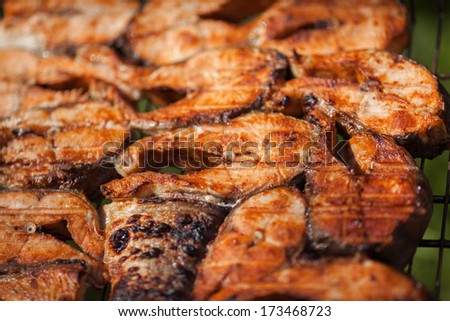 Salmon Steak Grilled Fish Fillet with BBQ at summer picnic. Tasty healthy food. Fried fish. salmon fillet on grill.