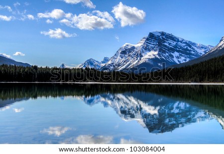 Sunny days in Banff National Park, Alberta. Taken from the shores of  Waterfowl Lake.
