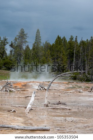 Midway Geyser Basin Scenery - Yellowstone National Park