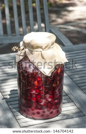 Large glass jar with sugar soaked sour cherries for making homemade liqueur