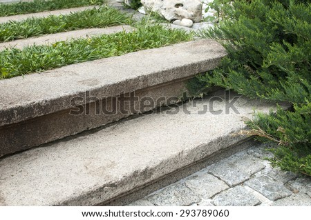 Old stone steps in back yard house garden closeup