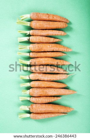fresh organic raw carrots in a row on the green background