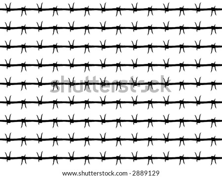 The isolated image of the tense barbed wire on a white background.