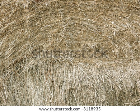 Haystack close up. The photo can become a successful background of the future composition.