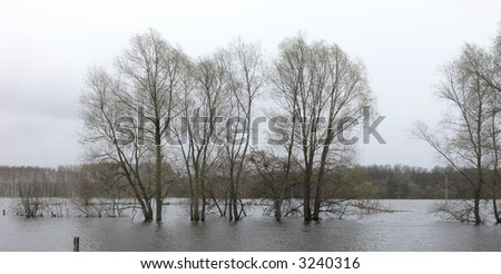 Photo on which the moment of high rising of water in the river is embodied and flooding water also woods about habitation of the person