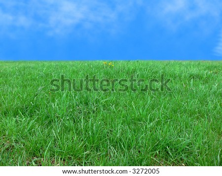 Green lawn and the blue sky. This photo - an ideal material for creation of a collage.