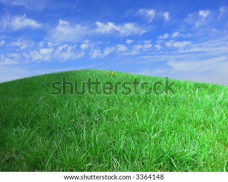 The hill covered by a juicy grass on a background of the picturesque summer sky. The picture can be used as an effective background.
