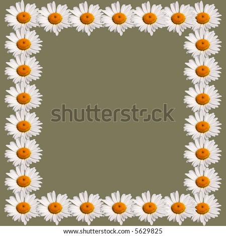 Framework from flowers of a white chamomile on a green background