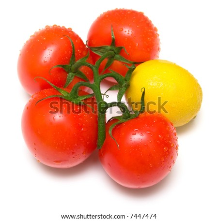 The perfect juicy tomatoes and lemon covered by drops of water, on a green branch. Isolation on white. Shallow DOF.