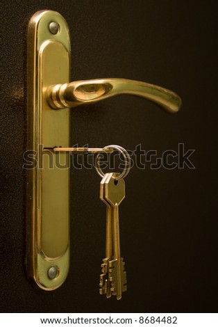 Sheaf of keys in a keyhole of an iron door