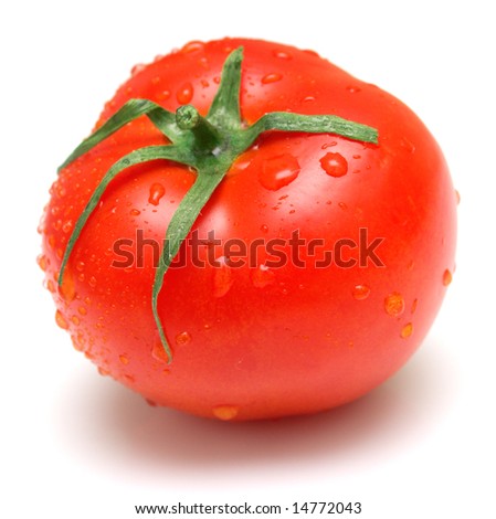 The perfect juicy tomatoes covered by drops of water. Isolation on white. Shallow DOF