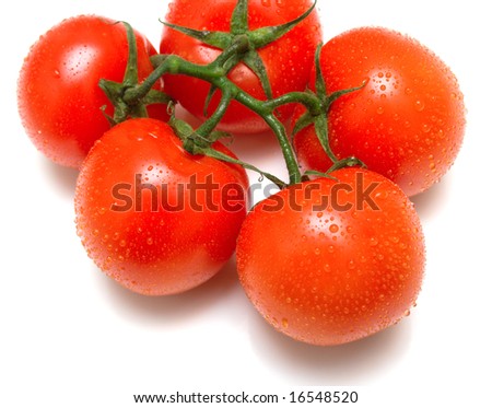 Ripe red tomatoes covered by drops of water on a green branch. Isolation on a white background. Shallow DOF